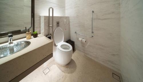 WC rehaussés